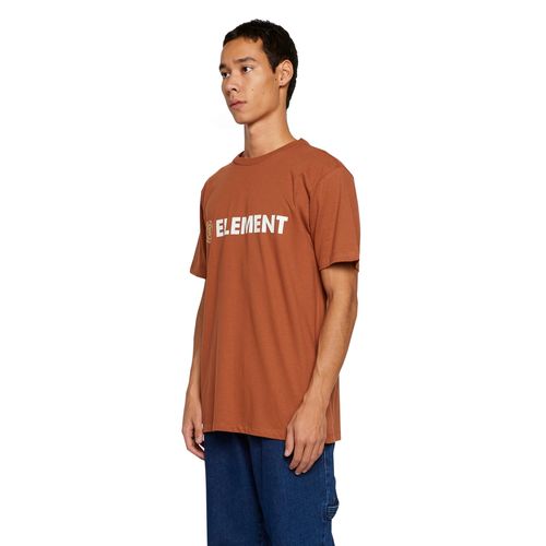 Camiseta Element M/C Blazin Color