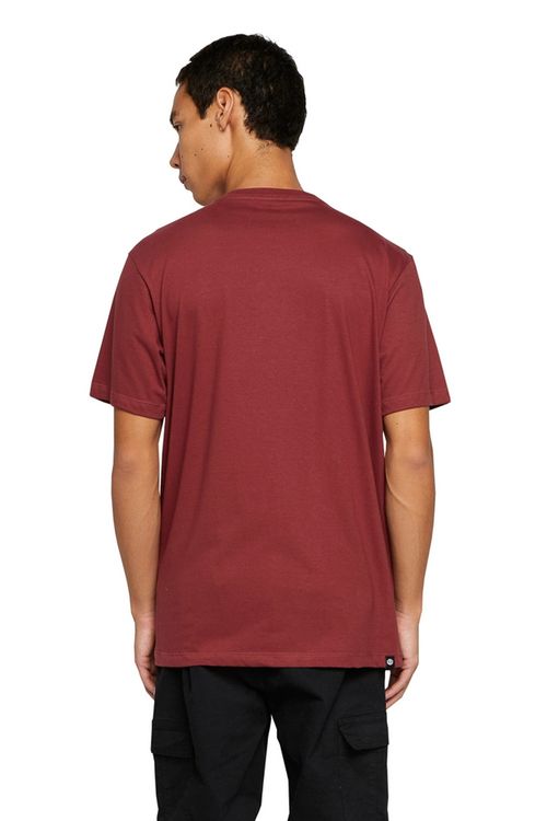 Camiseta Element M/C Vertical Color