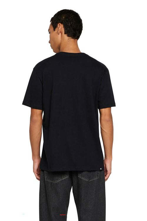 Camiseta Element M/C Blazin Chest