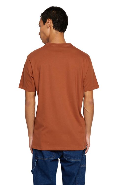 Camiseta Element M/C Blazin Color