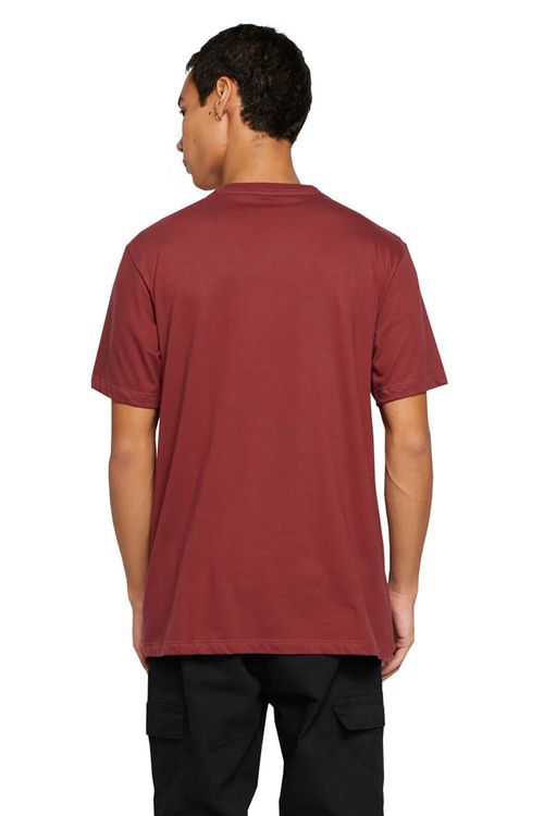 Camiseta Element M/C Blazin Chest Color
